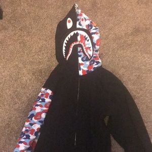 Bape “City Of Paris” Hoodie